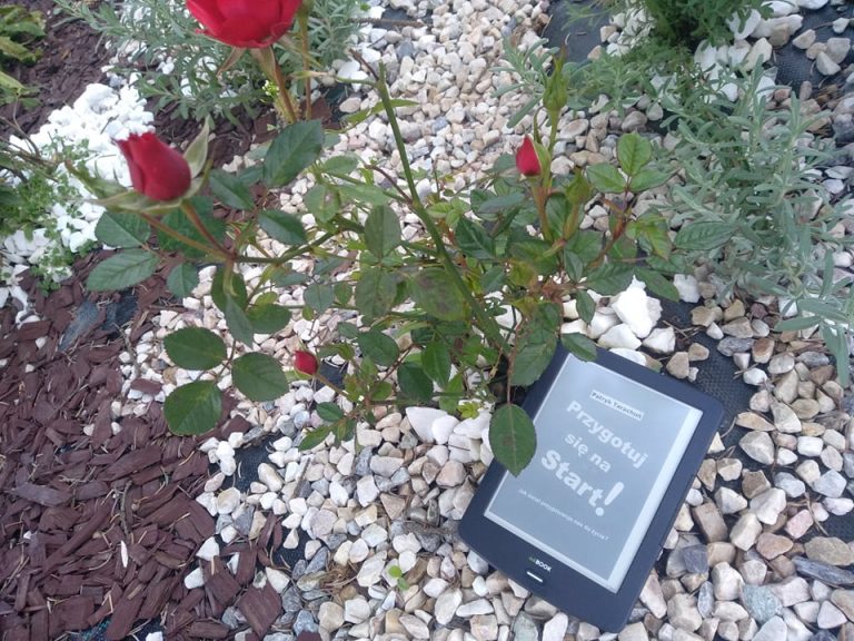 Gnębienie w szkole: „Przygotuj się na Start!” - nie pozwalaj się poniżać - obrazek 14