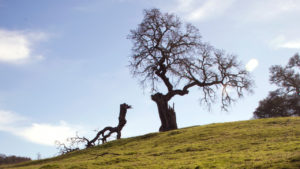 Krótka opowieść o osobach mających dużo do powiedzenia, ale jeszcze mniej do zaoferowania. Sprawdź tutaj morał krótkiej opowieści!